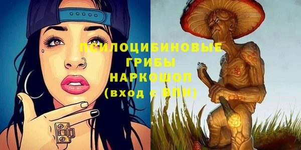 гашик Аркадак