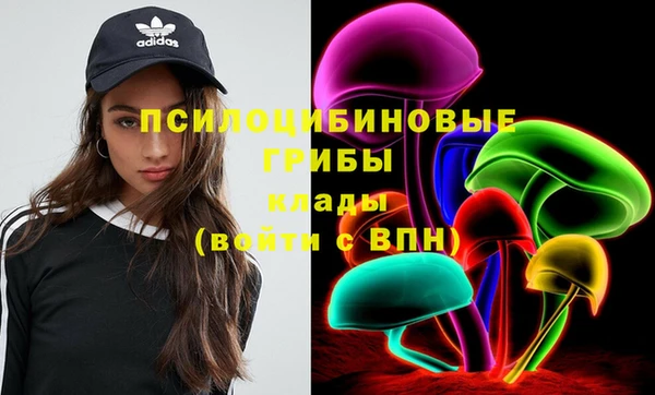 сатива Арсеньев