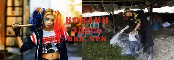 сатива Арсеньев