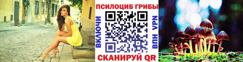 Псилоцибиновые грибы мицелий  цена   Соль-Илецк 