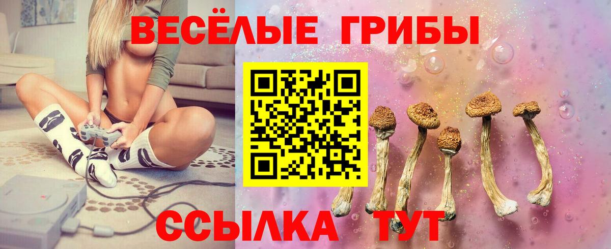 Псилоцибиновые грибы Psilocybine cubensis Соль-Илецк