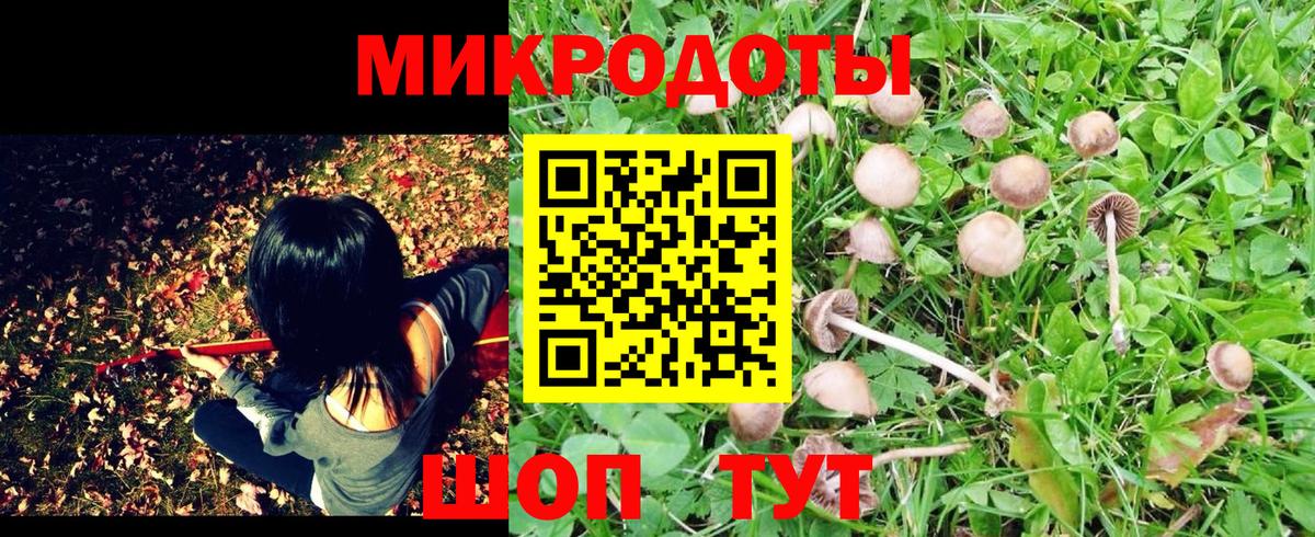 Соль-Илецк  Галлюциногенные грибы мухоморы  Вход с VPN  Псилоцибиновые грибы ЛСД 